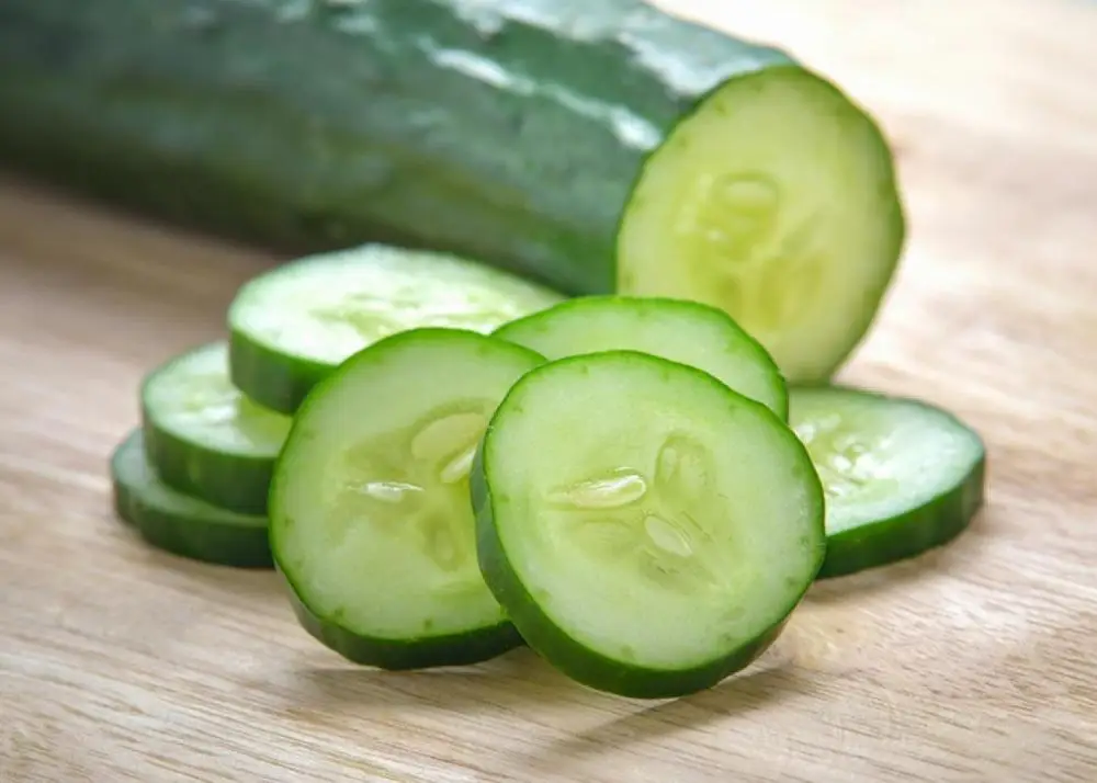 
High quality fresh cucumber 