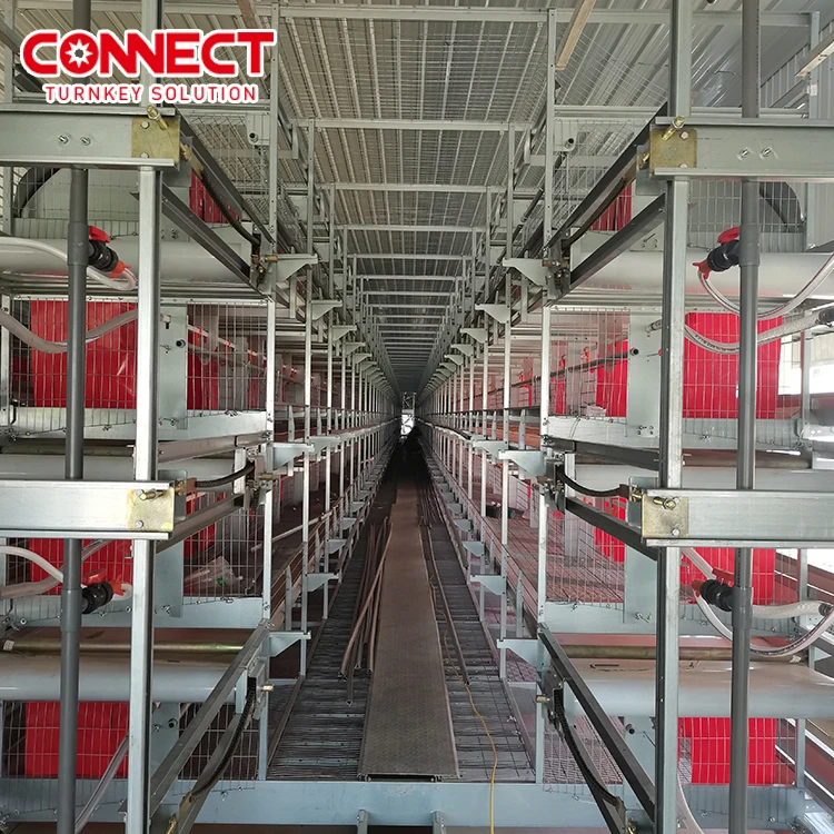 Industrial Poultry Farming Equipment 50000 Capacity Raising System Farm House Growing Chicken Battery Cages for Broiler