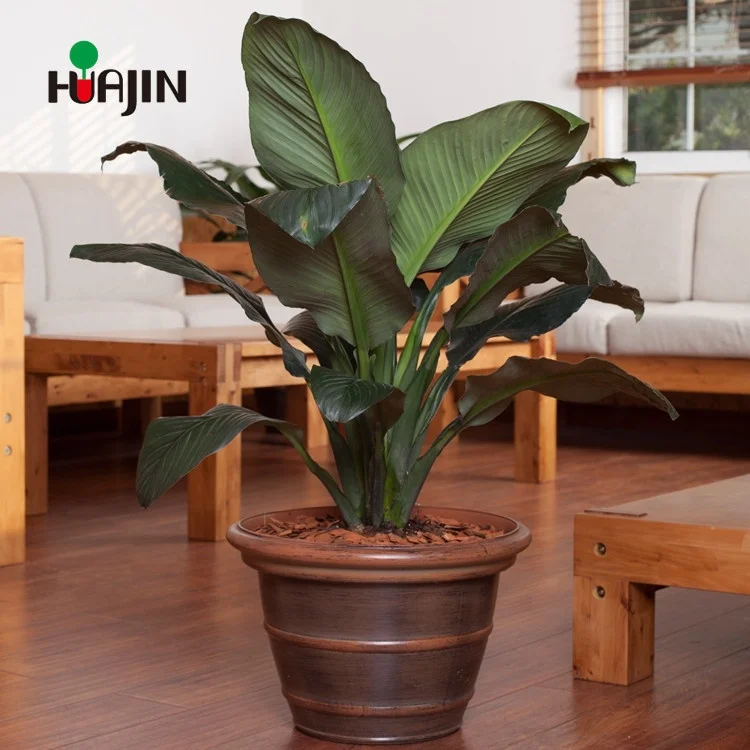 Best selling large outdoor mintate ceramic plastic vases and pots planters