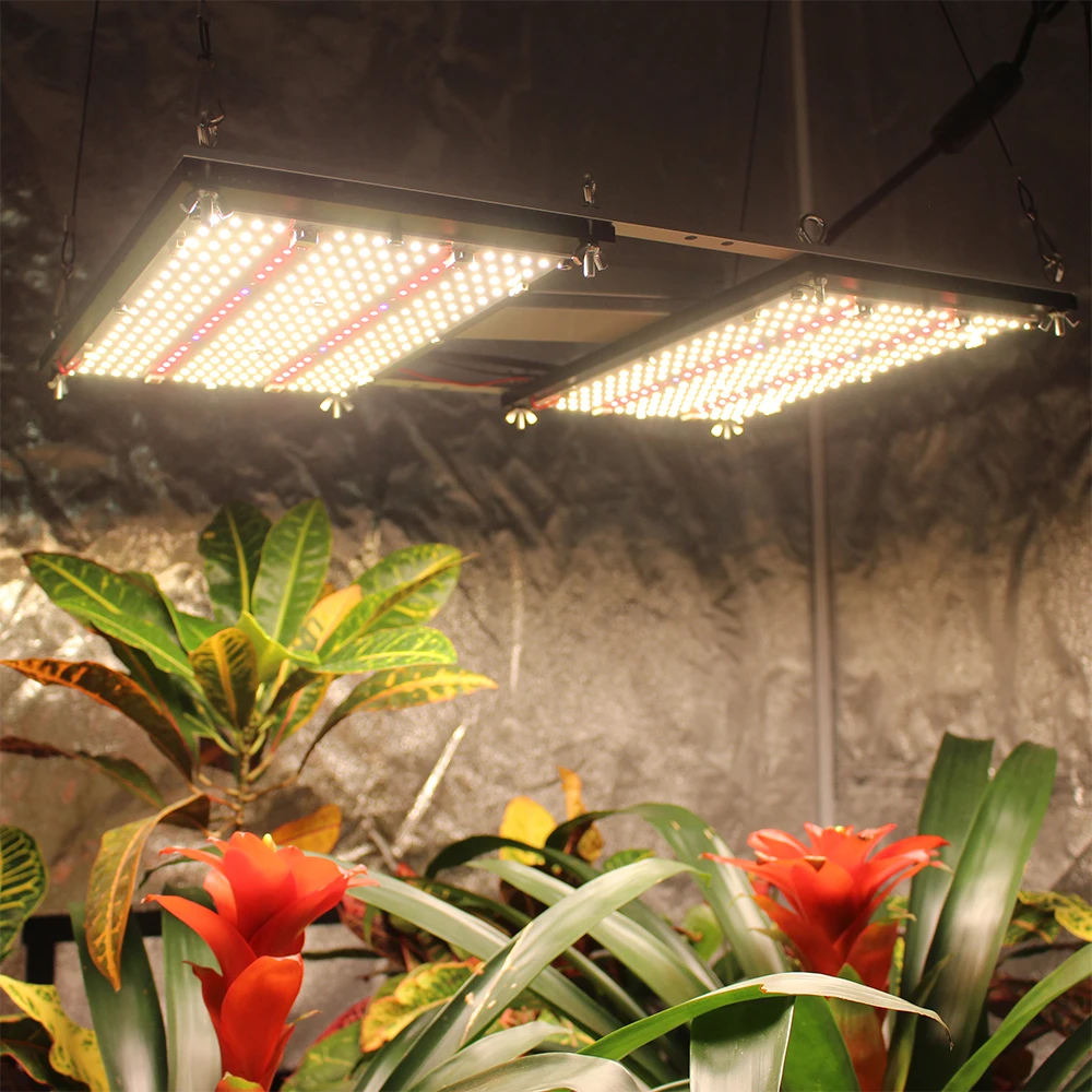 2022 new 240W separated full spectrum led board grow light Meanwell dimmable elg driver UV IR switchable