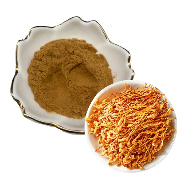 Organic 10:1 Mushroom Ground Powder Health Cordycepin 1% Cordyceps Sinensis Extract Cordyceps Militaris Powder 1 Kg