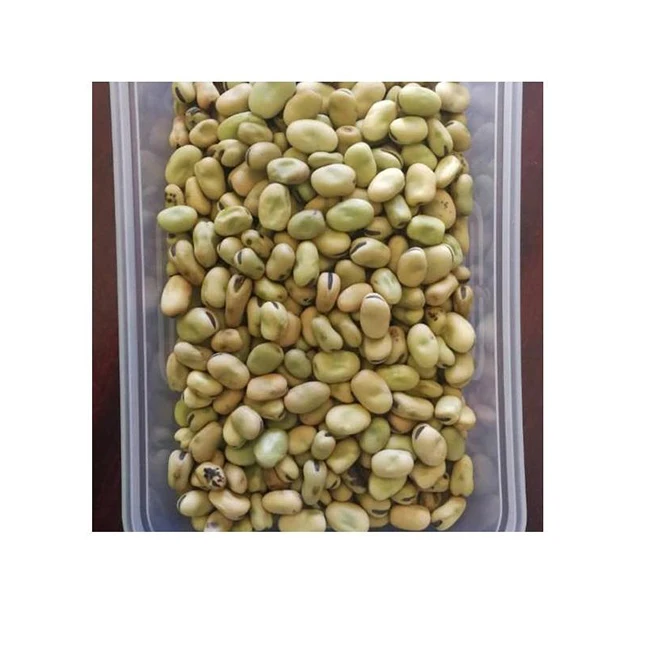 Hot Selling High Quality Delicious Ethiopian Faba Beans Broad Beans Horse Beans From Manufacturers