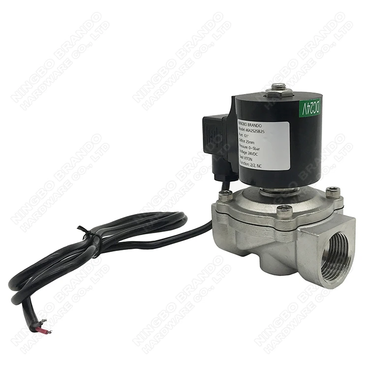 1 Inch IP68 Waterproof Stainless Steel Solenoid Valve For Dancing Music Water Fountain 1' 220VAC 110VAC 24VAC 24VDC 12VDC