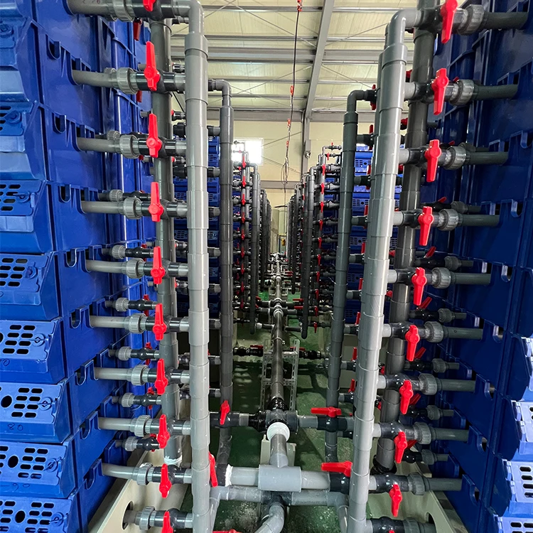 Оптовая цена, комнатный Краб ras live, сельскохозяйственные ящики, краб-домик