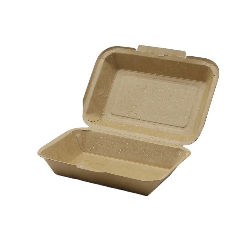 The Fine Quality Disposable Paper Food Packaging Boxes For Food