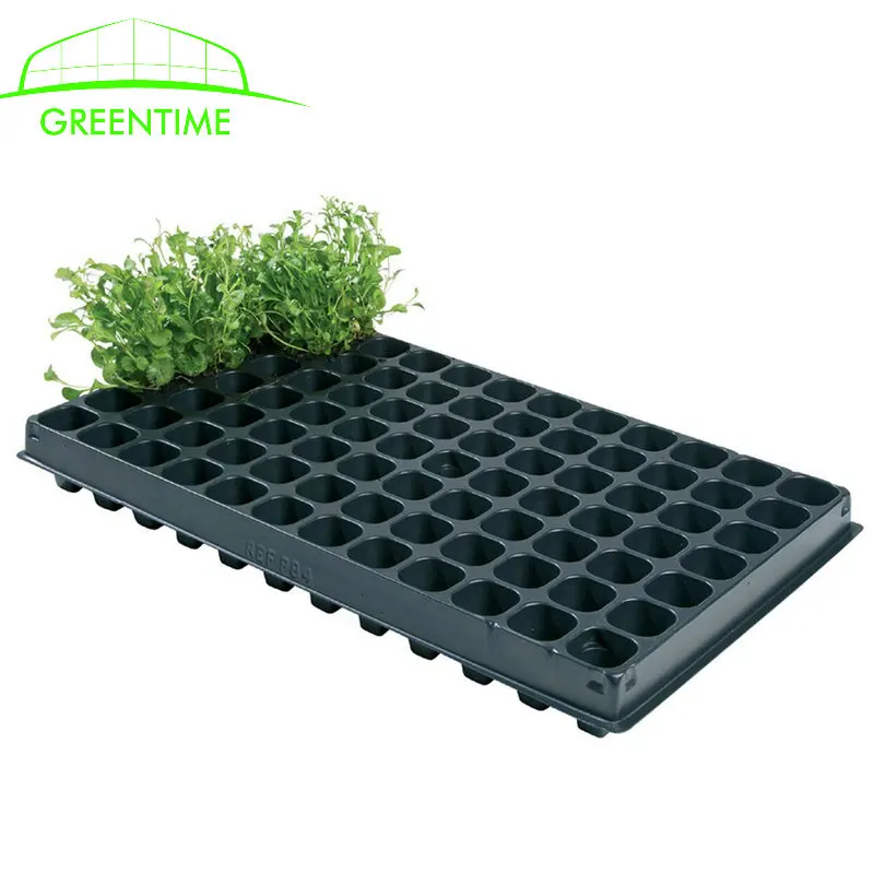 200 cells plastic nursery seed tray for growing vegetable