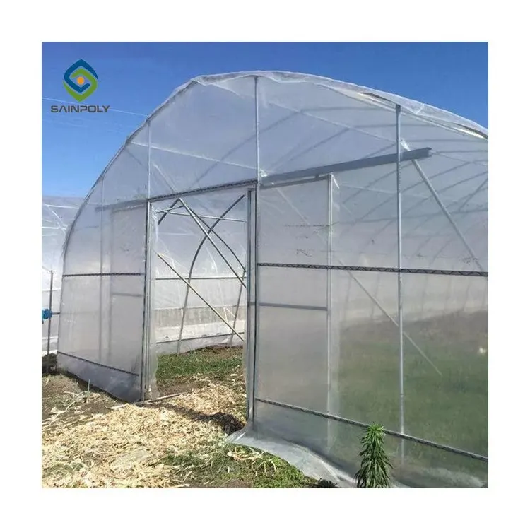 Agriculture single span arch plastic film Greenhouse tomato greenhouse and strawberry greenhouse turnkey project