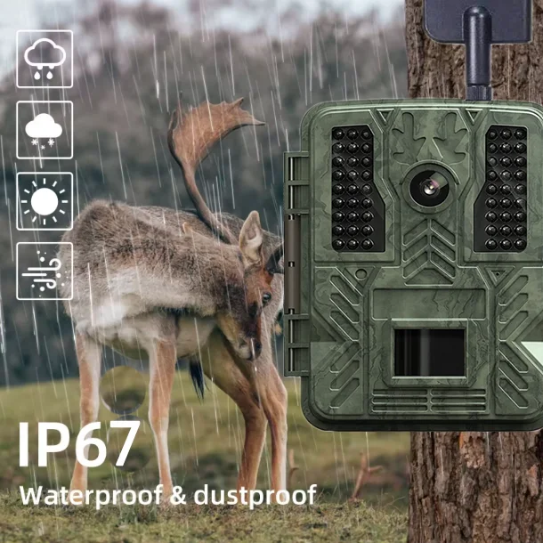 BST886C 2.4Inch TFT CMOS 36MP 1080P No Glow Outdoor Hunting Camera Night Vision Monitoring Trail Camera