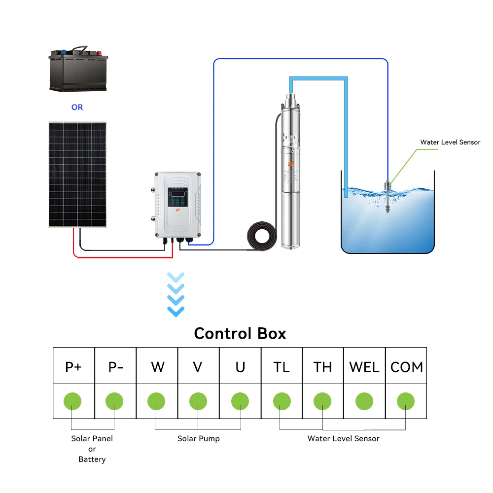 Latest Style Head 30M 80w DC24v Screw Pump DC Pump Solar Water For Deep Well With Solar Mppt Controller for Irrigation