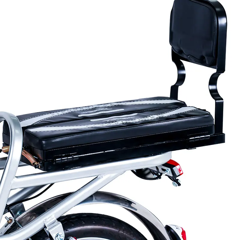 High-end design 500W 10AH rear drive fat tire electric bike moto electrica electric motorcycle 2 wheel electric bicycle