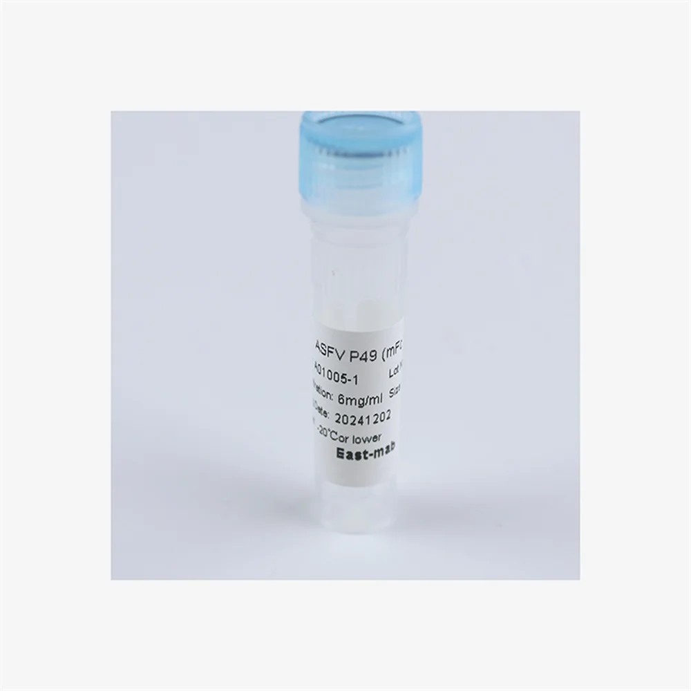 IVD Kit Raw Materials Recombinant Protein IVD Reagent high sensitivity Recombinant measles virus antigen Recombinant Mev NP