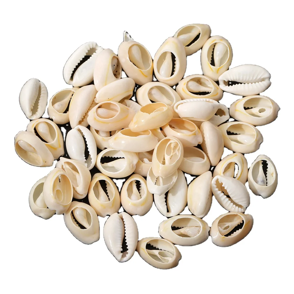 500g White Natural Spiral Sea Shells Beach Spacer Charms Cowrie  Loose  Beads for DIY Earring Bracelet Necklace Jewelry Making