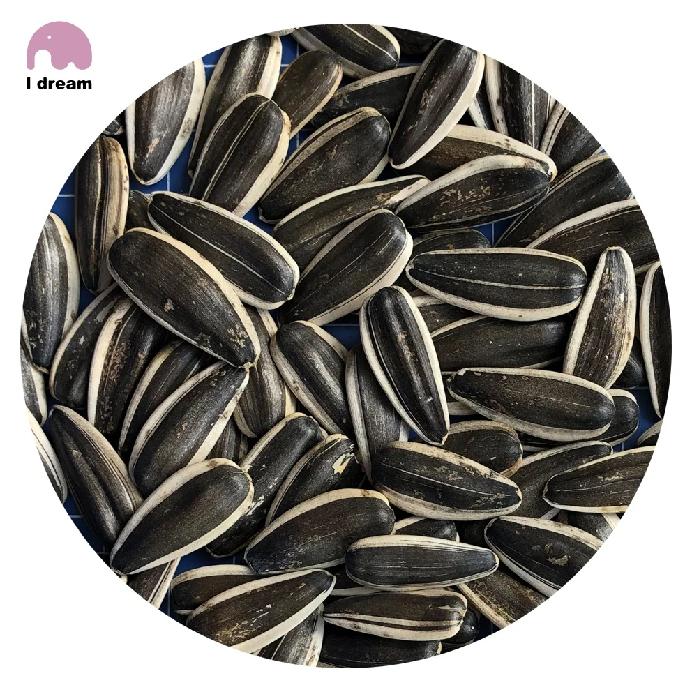 
Raw Chinese Wholesale sunflower seeds jumbo 