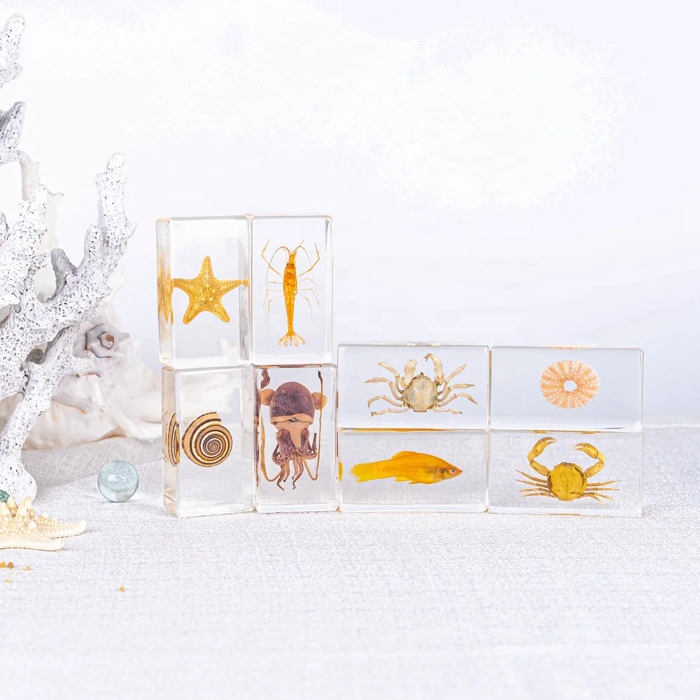 Образовательный продукт, образец Таксидермии из настоящего папье насекомых, полимерная биологическая модель, обучающее средство, образец морских животных