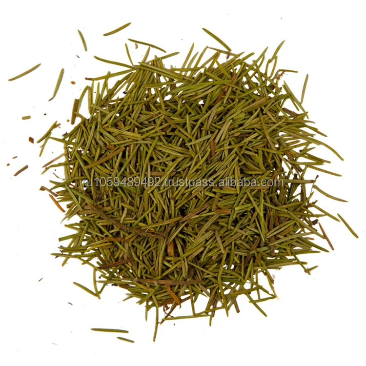Fir needles beneficial for health good quality wholesale prices natural herbs for sale in bulk