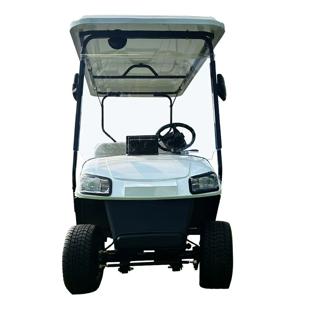 Low Price 2 Seats Golf Cart with High Quality