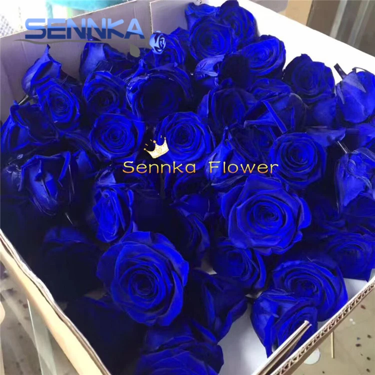 Dubai new Batch preserved forever love flower rose/best selling preserved roses