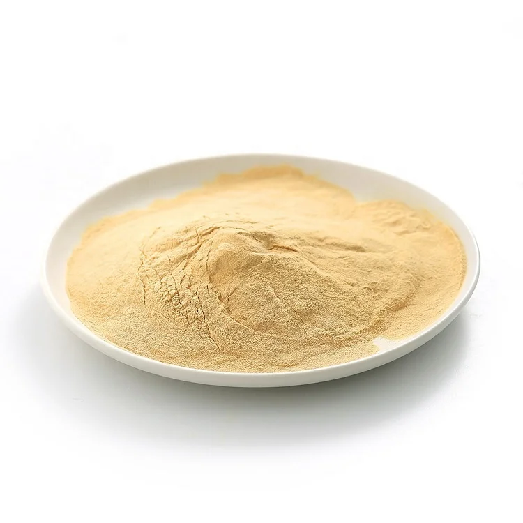 yeast extract powder for food spice to enhance flavor