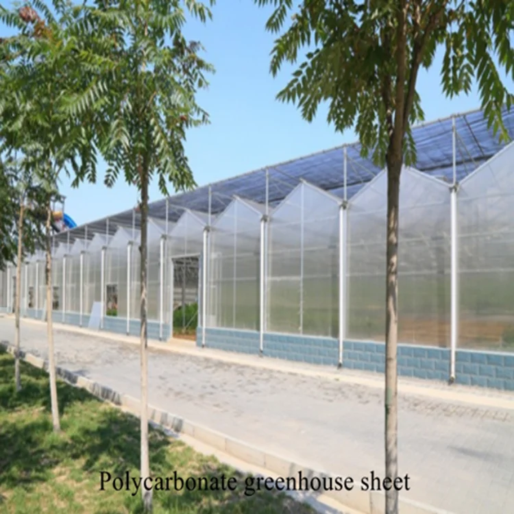 
Large multi-span polycarbonate and galvanized steel griculture greenhouse kit tunnel with hydroponic system 