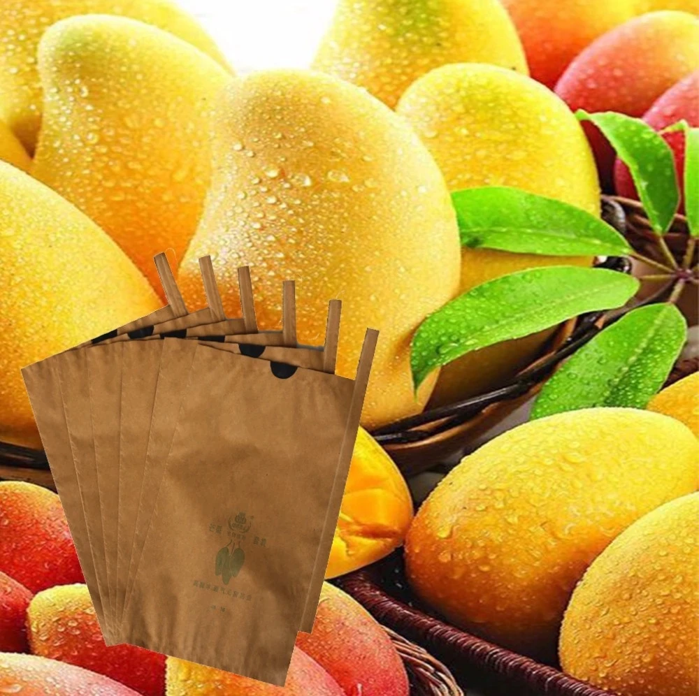 Mango Covering Paper Bags for Fruit protection Growing Protection Bag