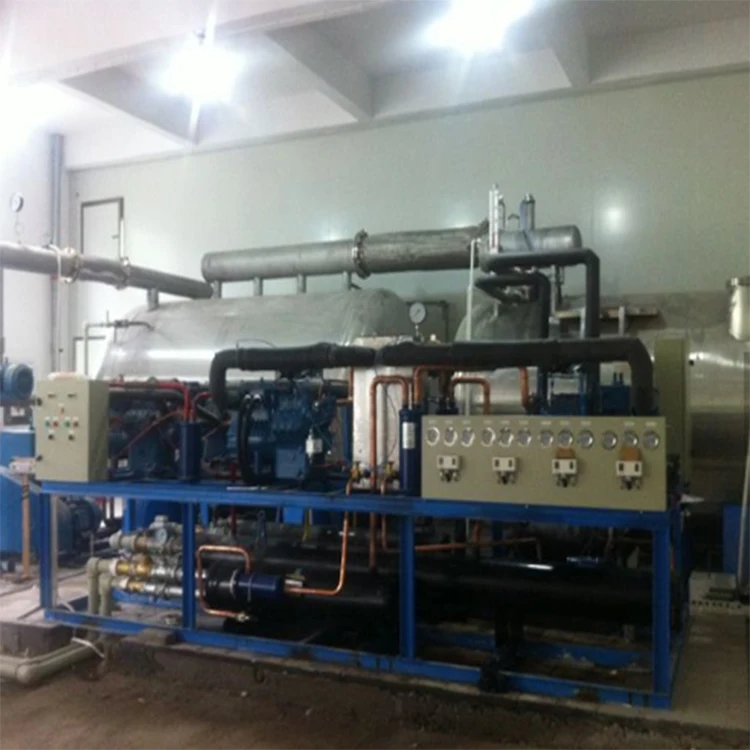 
fruit dnd vegetable freeze dryer coffee vacuum Liofilizador Lyophilizer for china 