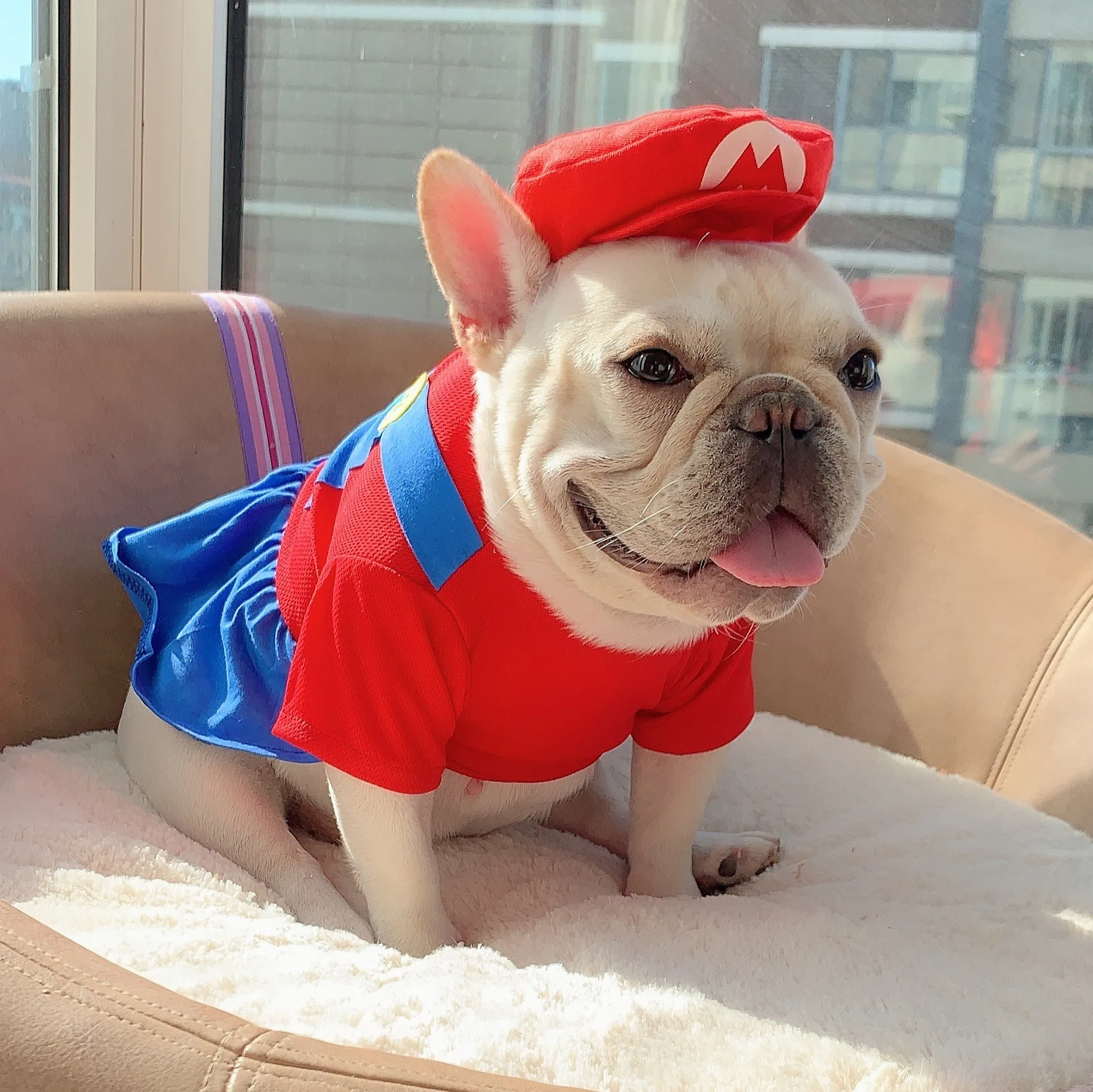 Hot Selling 2021 New Arrival Funny Halloween Dog Clothes Mario Pet Costume