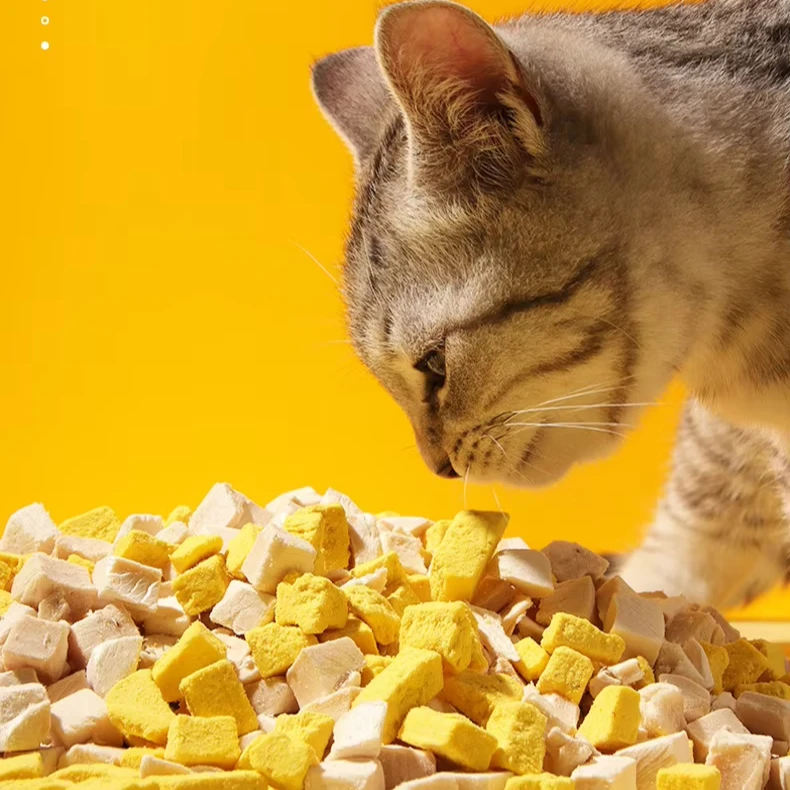 Wholesale Bulk 100% Natural Cat Treats Freeze-Dried Chicken Breast Skin Coat Health snacks cat food pet supplier