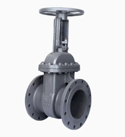 DN100 Manual Stop Gate Valve 30s41nzh for Water Gas and Oil High Temperature Factory Direct from Hebei Zhuningqian
