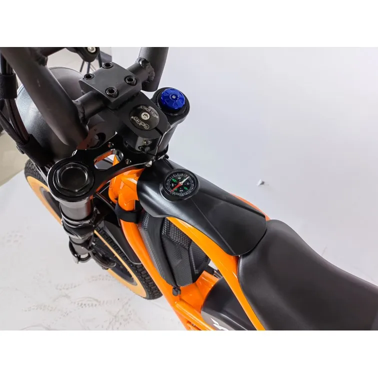 Hot Sale Fat Tire Retro Style Cafe Racer Electric Bike Vintage E-bike 48V 750w Electric Bicycle