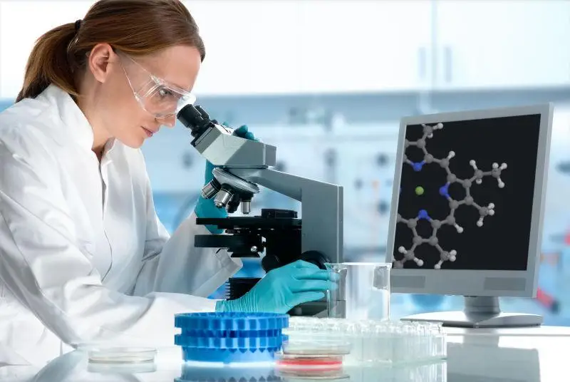 potassium sorbate products sugar preservative for milk