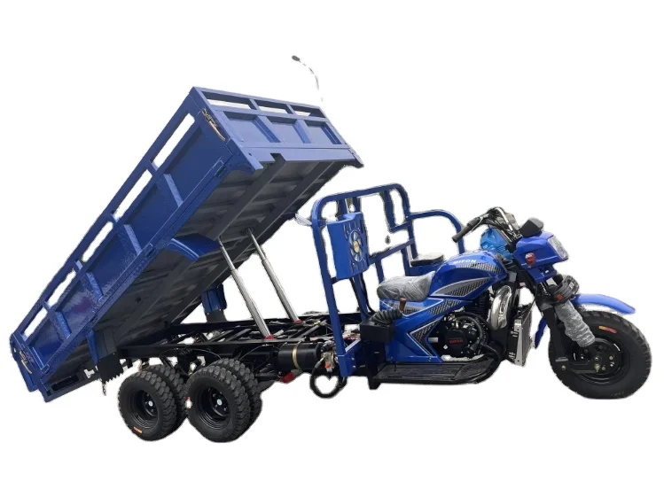 350CC Water Cooling Customized Double Wheel 9 Wheel Motorcycle Double Rear Axle 9 Wheel Cargo Tricycle