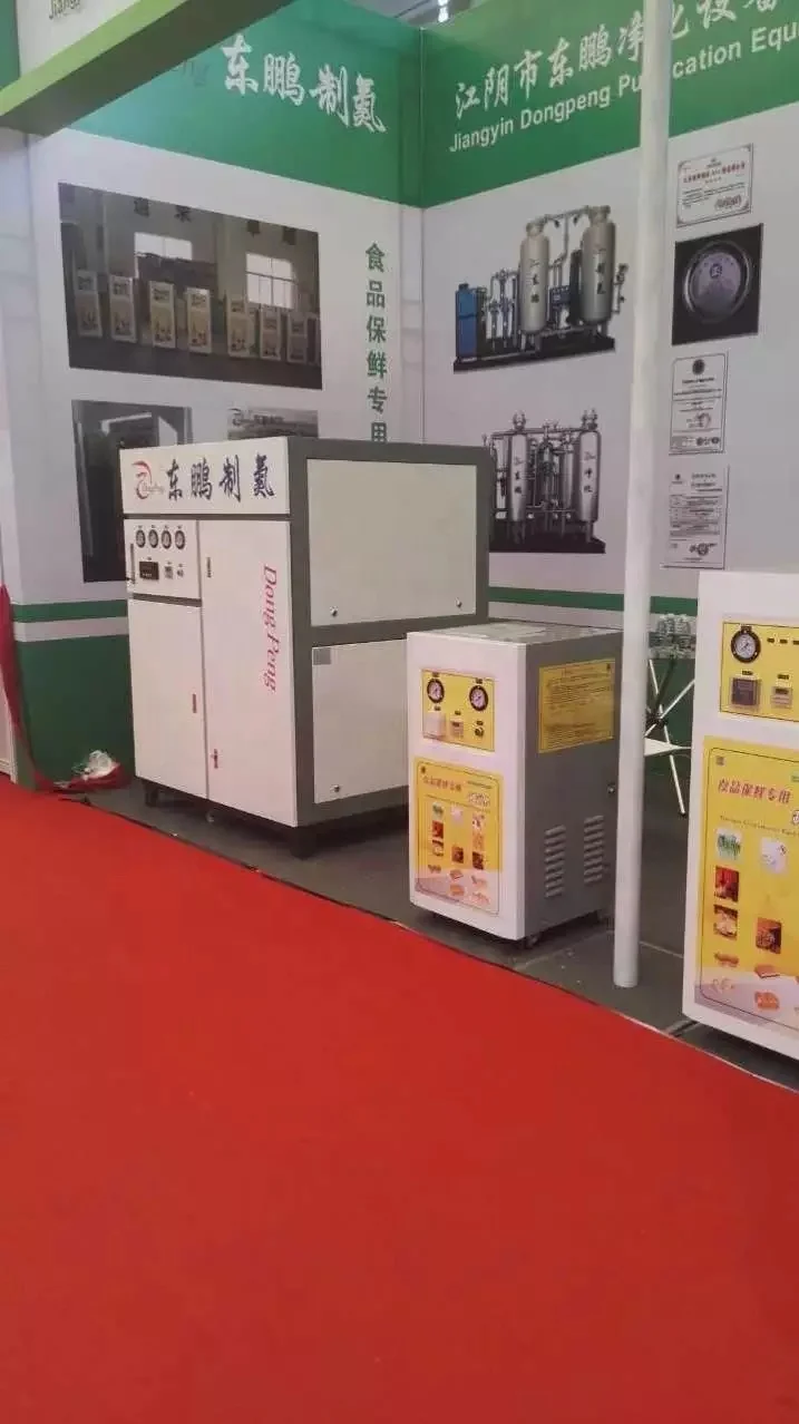 Dongpeng factory supply Nitrogen machine  Nitrogen generator  with ultra-filters  for nitrogen food packaging