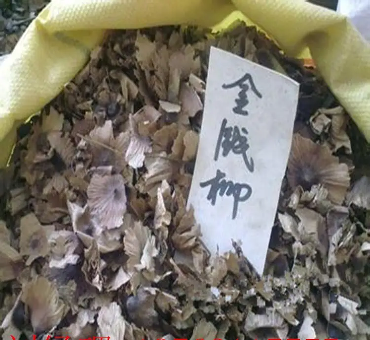 
Money Willow Ornamental Fall Blood Sugar Tea Cyclocarya Paliurus Tree PlantSeeds 