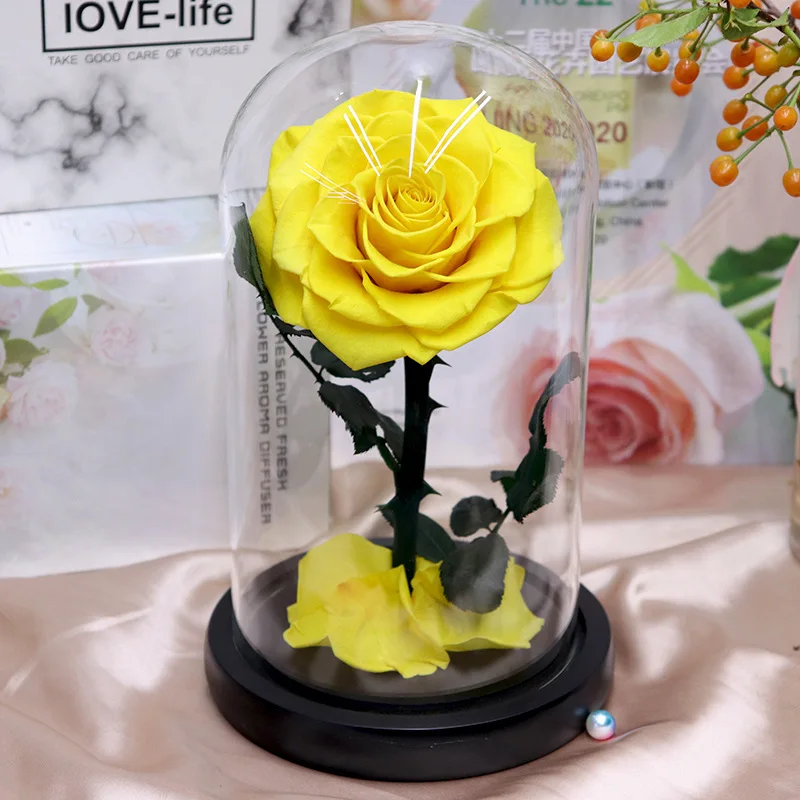 Preserved Rose Red Rose in Glass Dome Real Roses Preserved Flowers Valentines Day Gifts long lasting in flower box