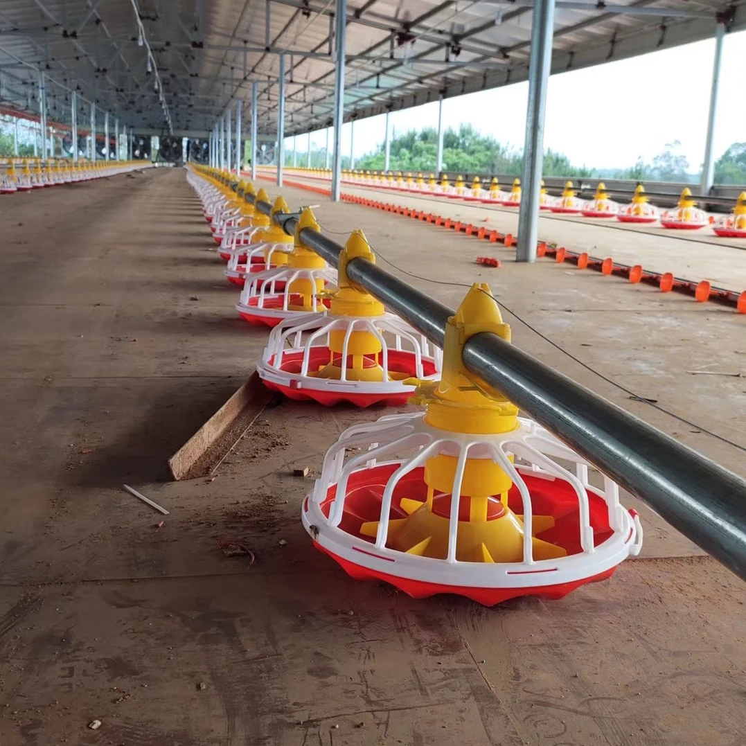 pan feeding system  for broiler layer chicken drinkers automatic pan feeding system