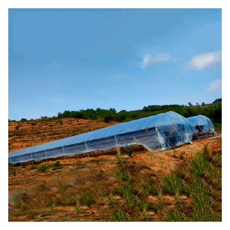 200 Micron Plastic Greenhouse Film Highly transparent PO Material UV-resistant Covering Film without Water Drop