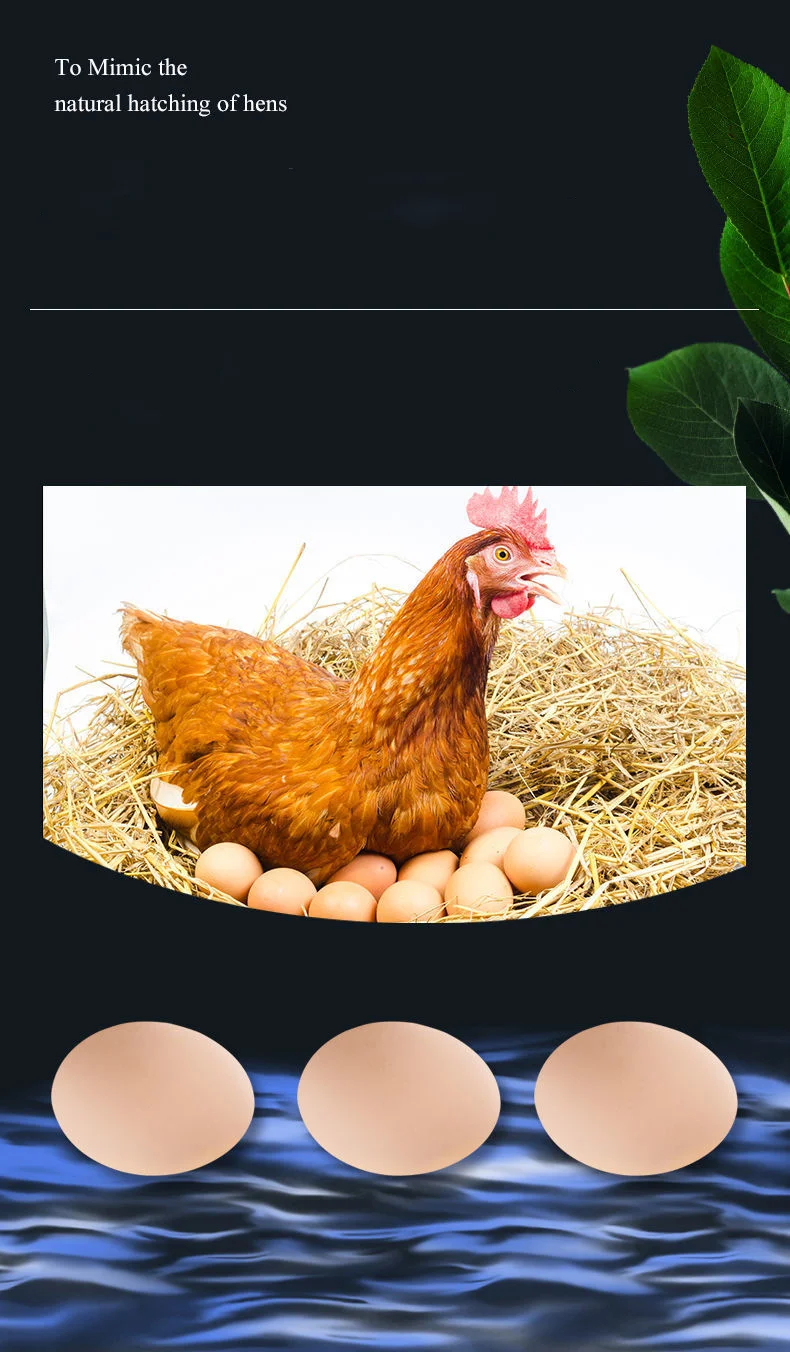 Full-automatic Household Water-bed Incubator Chicken Duck Goose Pigeon Peacock Egg Incubator