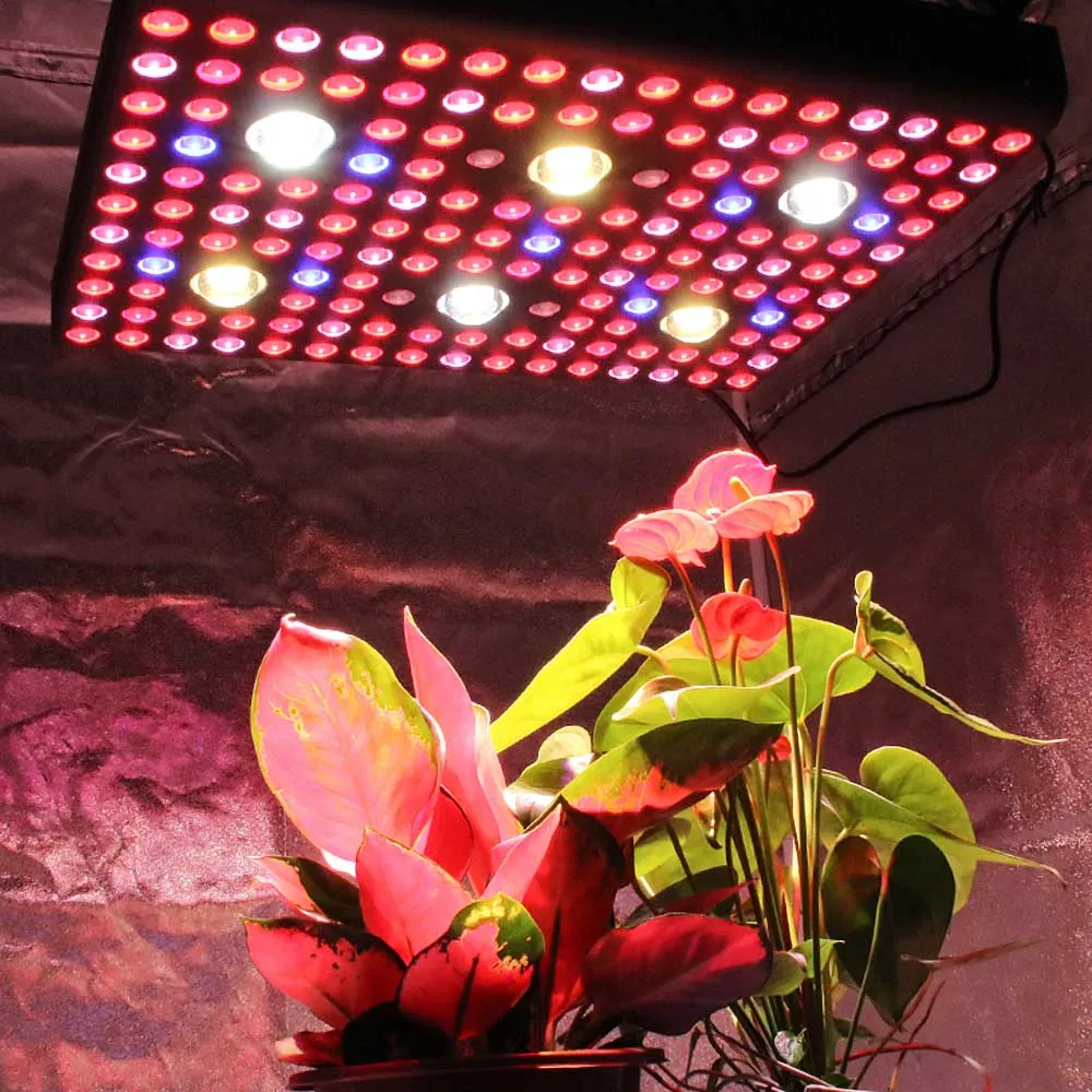  Aglex Новый COB LED Grow Light 600W 1200W 2000W 3000W 2020 horticuture светать светильник