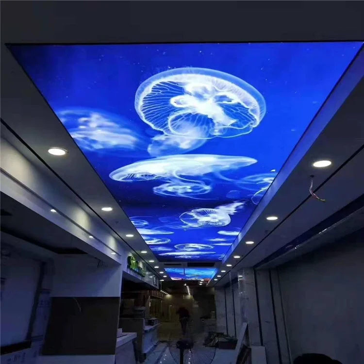 ZHIHAI beauty salon ceiling wall decoration transparent false ceiling