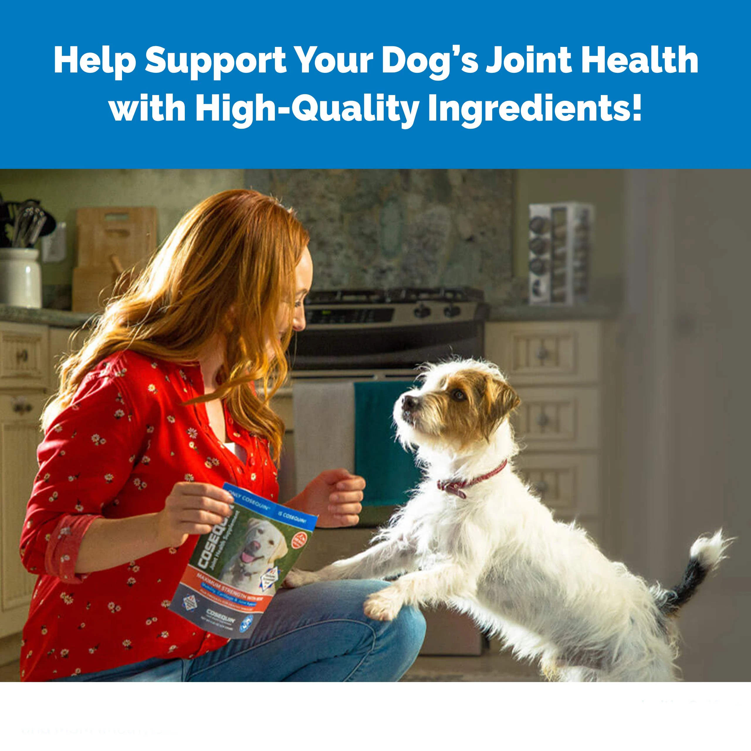 Dog Chewable Tablets Joint Health Supplement For Dogs