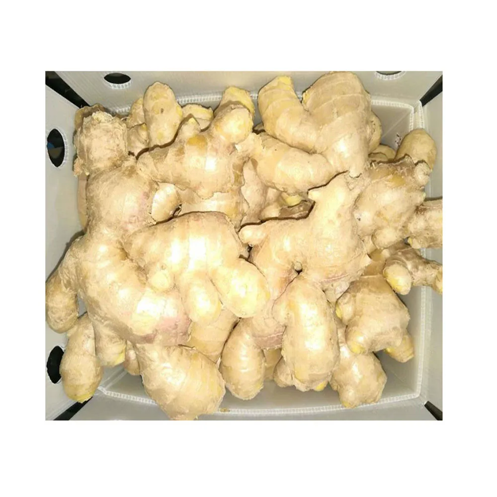 
Wholesale Best Price Grade Vegetables Frozen Ginger 