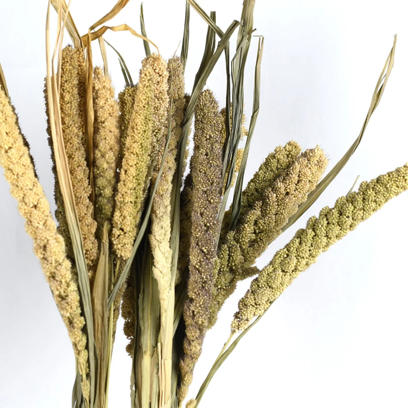 Wholesale 2023 Top Seller Wedding Decoration Everlasting Natural Dry Millet Flowers