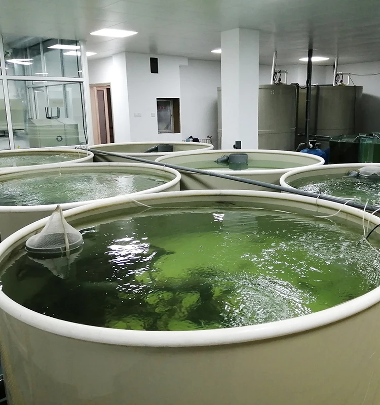 ras fish farming equipment indoor shrimp farming equipment recirculating aquaculture system fish farm