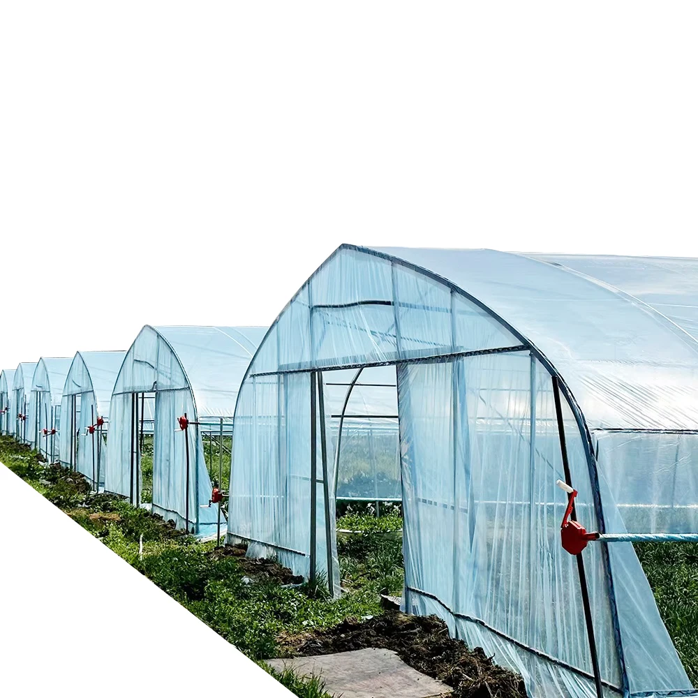 single tunnel tomato fruit flower green house 8x30 meter low tunnel serre agricole m greenhouse for sale