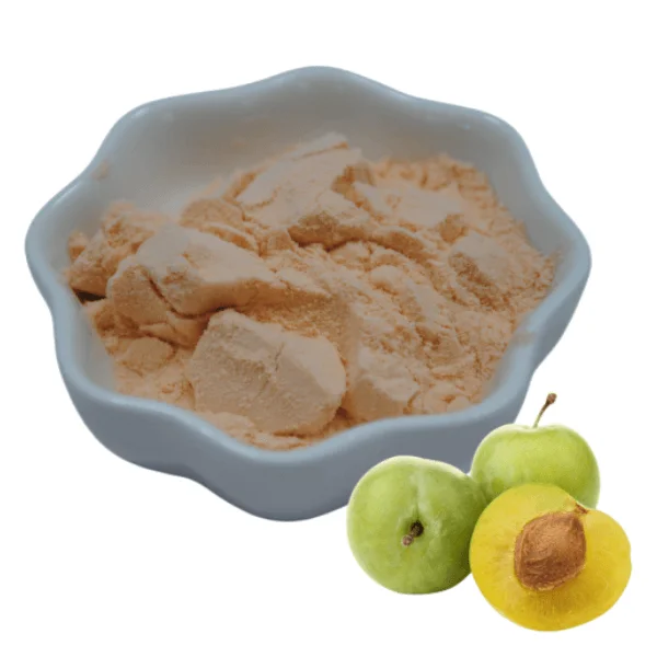 Food Grade Pure China Wholesale Best Price High Quality  Plum Fruit Powder