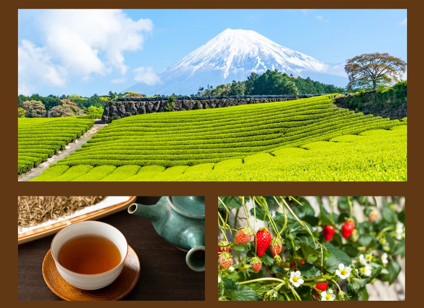 Бесплатный образец высокое качество лучшие ингредиенты порошок маття кофе латте микс