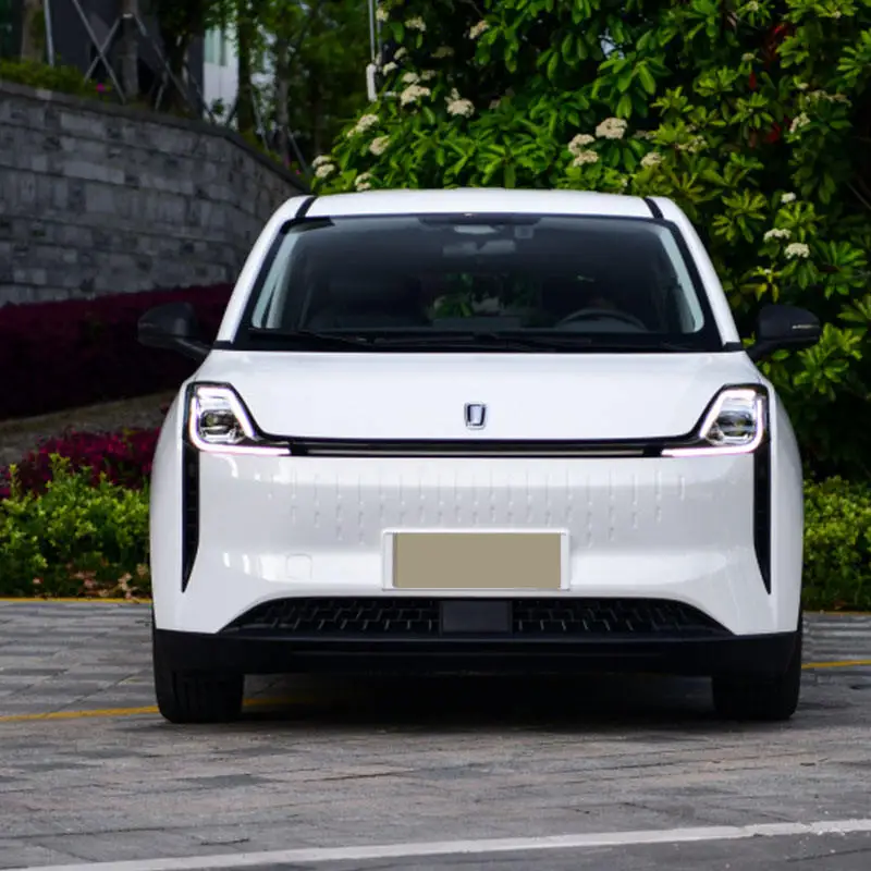 bestune nat New energy vehicle Chinese Manufacturer High Speed Besturn Nat electric vehicle /ev car Adult bestune electric car