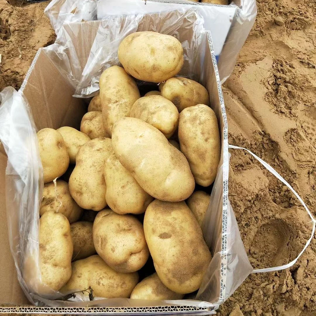 Factory Direct Sales Original Potatoes Fresh Vegetables