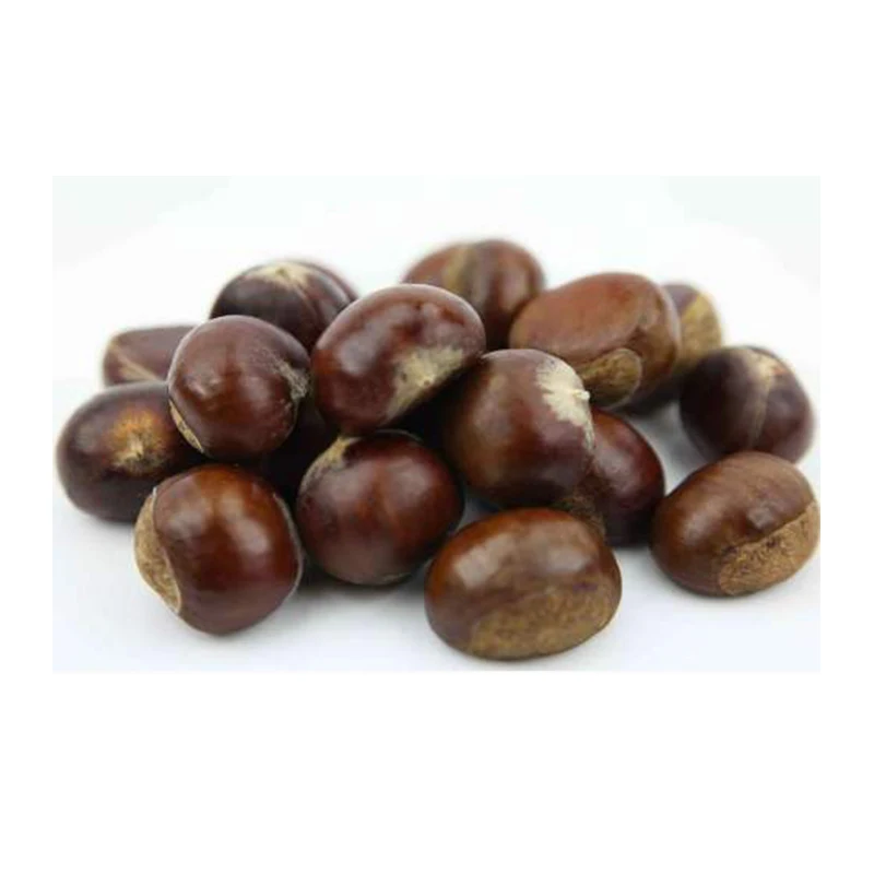Raw Material 2022 Crop Organic Chestnut from China