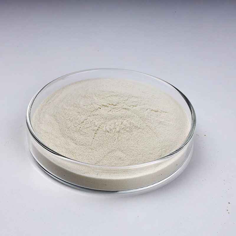 High Activity Enzyme 200,000 Alkaline Protease food grade protease enzyme